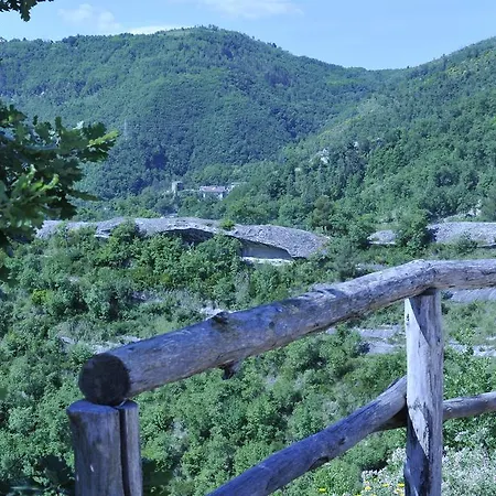 La Collina Del Tartufo