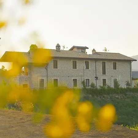 La Collina Del Tartufo
