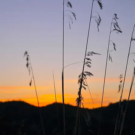 Landhuis La Collina Del Tartufo *