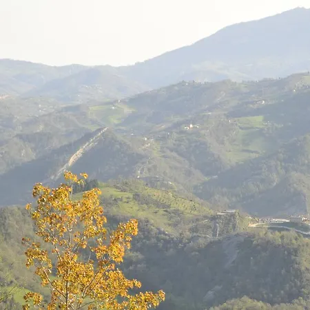 Casa rural La Collina Del Tartufo