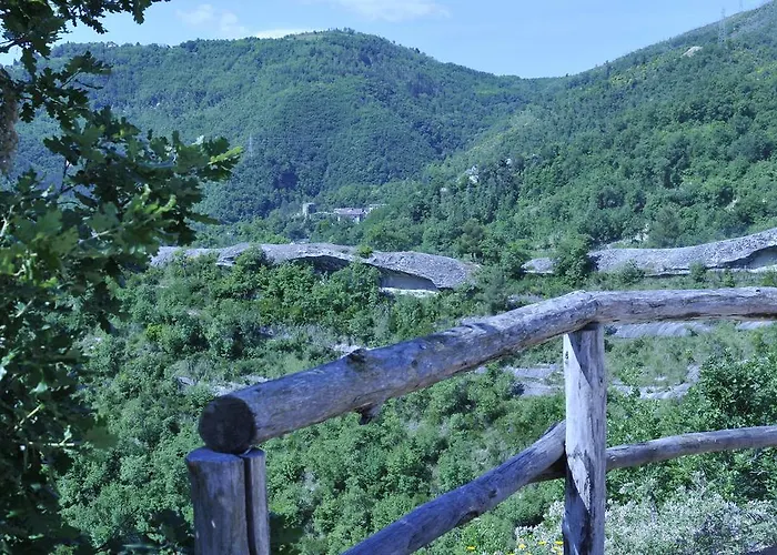 La Collina Del Tartufo
